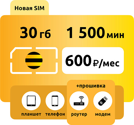 SIM-карта Билайн Яркое Решение 600 L